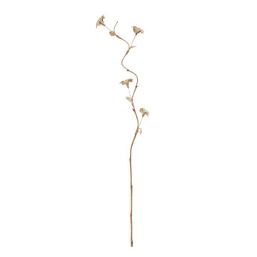 Zweig Beige Blume 27 x 27 x 170 cm