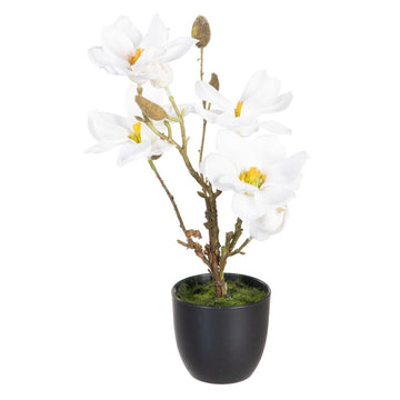 Dekorationspflanze Polyester Polyäthylen Eisen 22 x 22 x 38 cm Magnolia