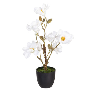 Dekorationspflanze Polyester Polyäthylen Eisen 25 x 25 x 49 cm Magnolia