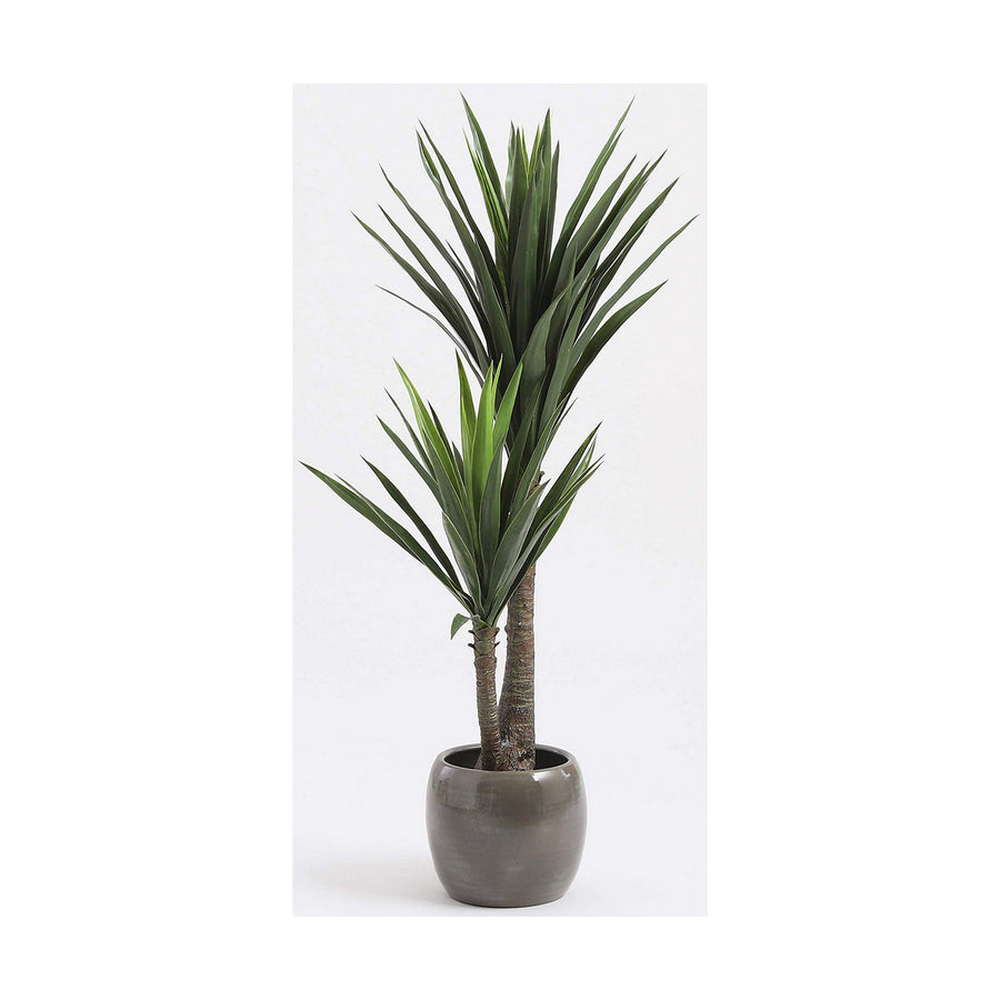 Dekorationspflanze Mica Decorations Yucca (120 x 60 cm)