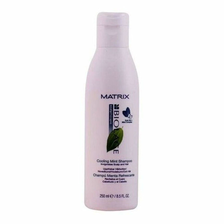 Revitalisierendes Shampoo Biolage Scalptherapie Biolage 3474630348110 (250 ml) 250 ml