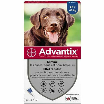 Hundepipette Advantix 25-40 Kg