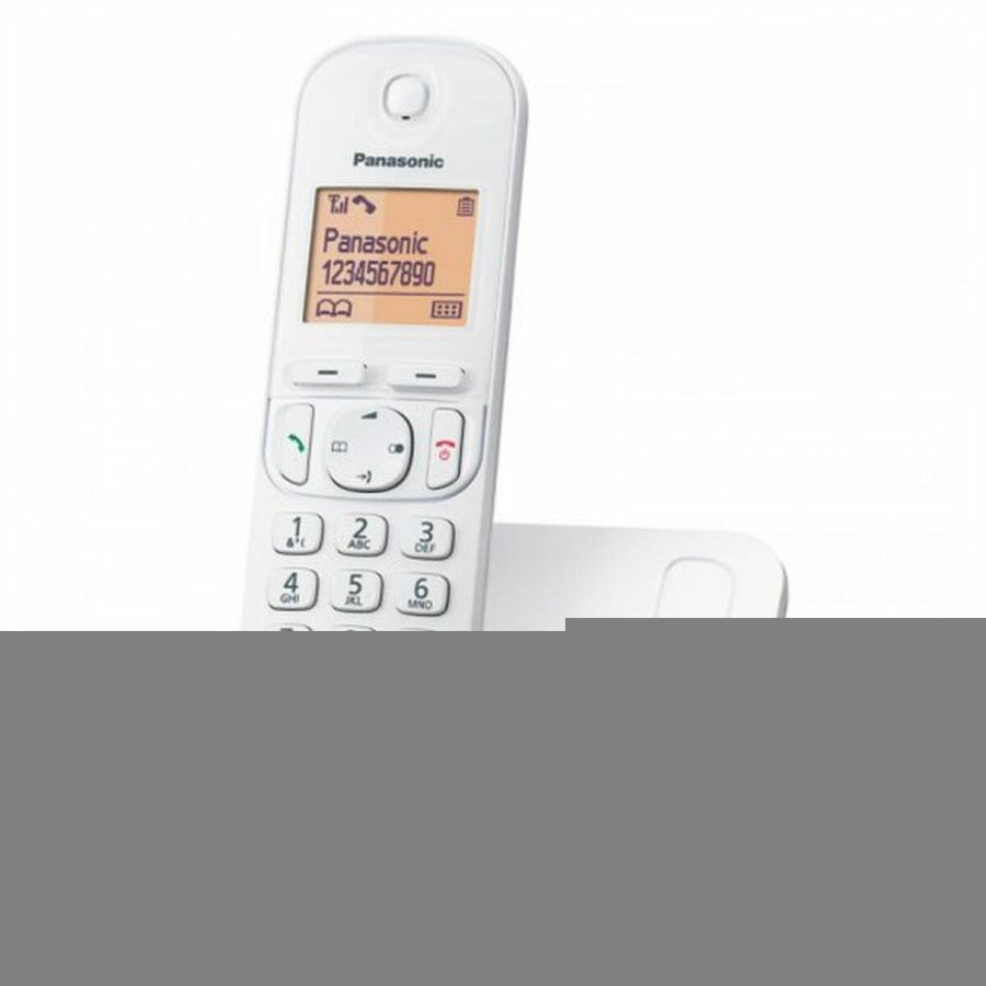 Kabelloses Telefon Panasonic KX-TGC210