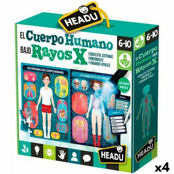 Spiel Kindererziehung HEADU El cuerpo humano Rayos X (4 Stück)